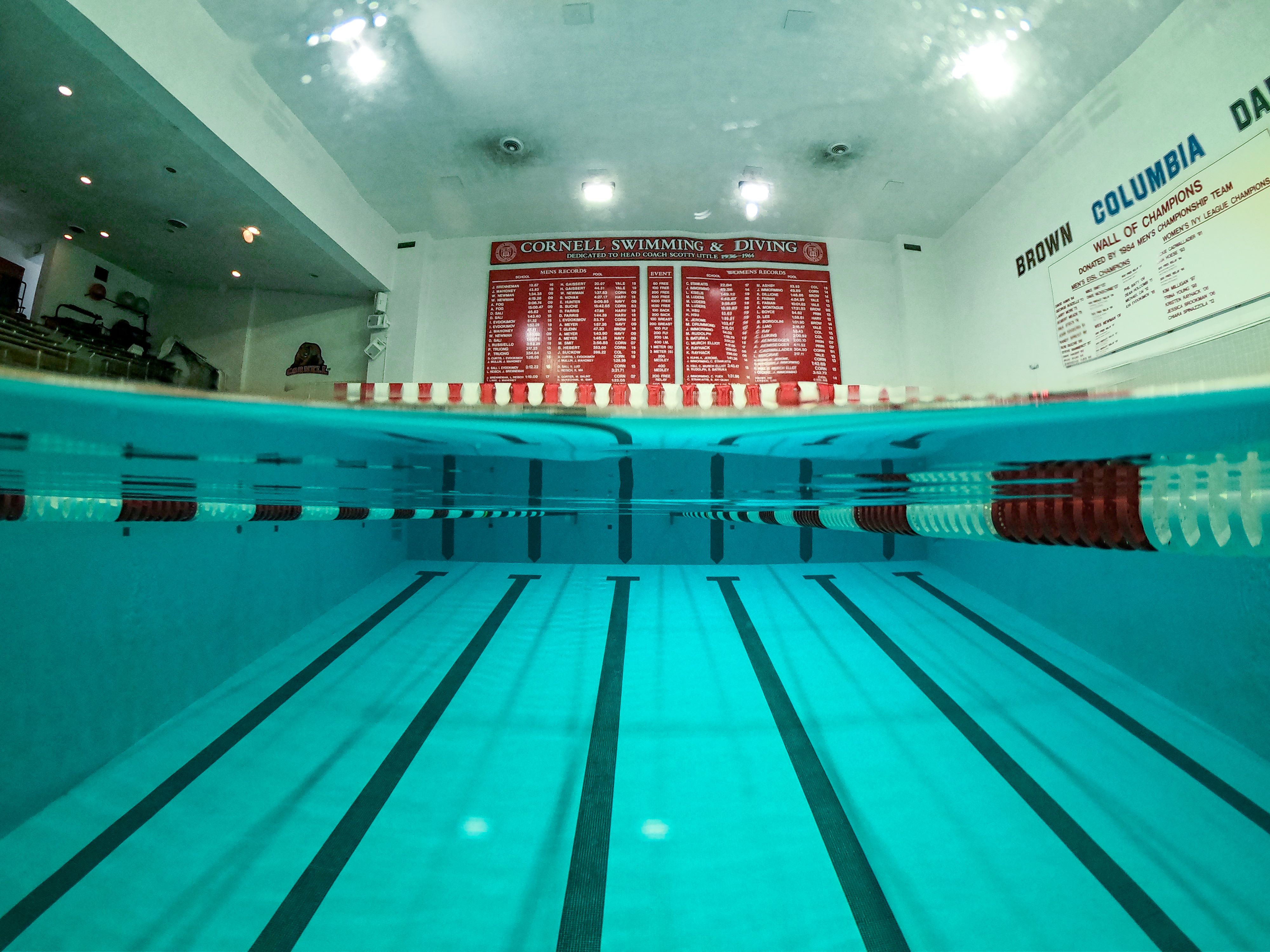Teagle pool from deep end looking at record board