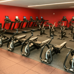 Rowers and Bikes