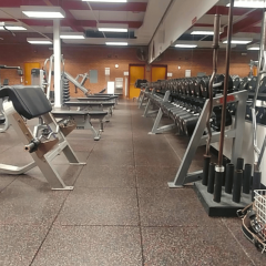 Teagle Down Dumbbells