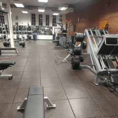 Teagle Down Leg Machines