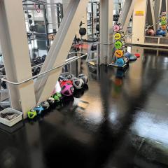 soft weights at Noyes