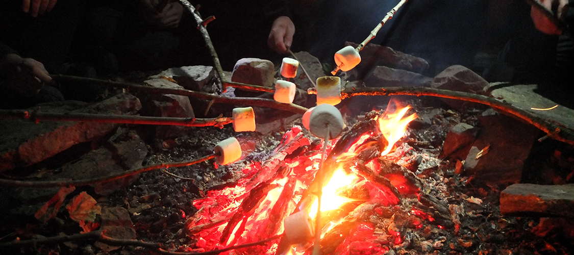 Campfire with marshmallows