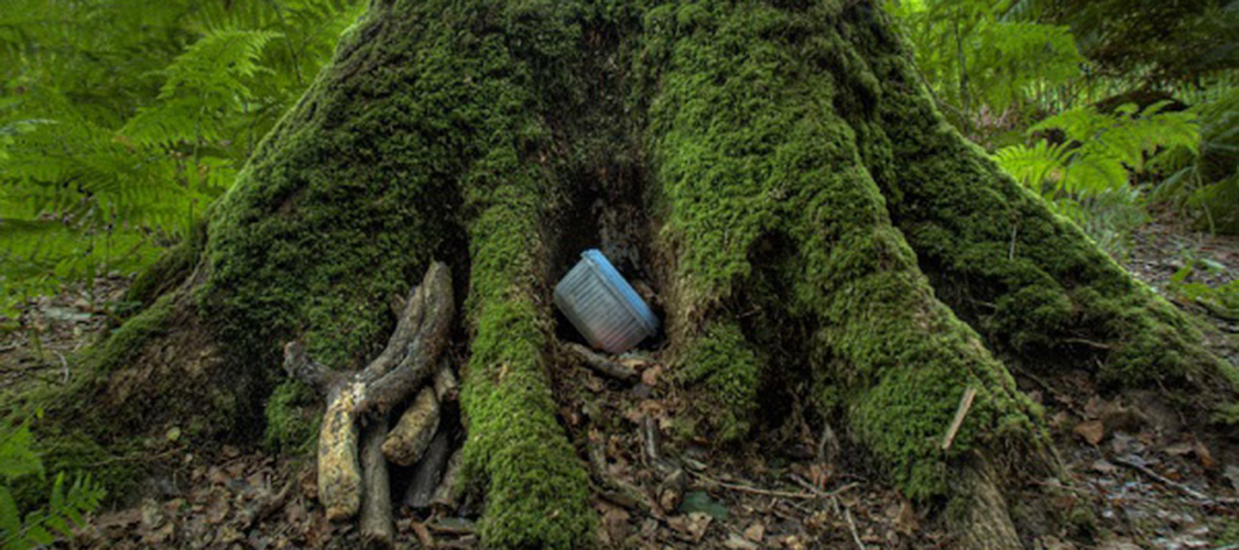 A geocache in the woods