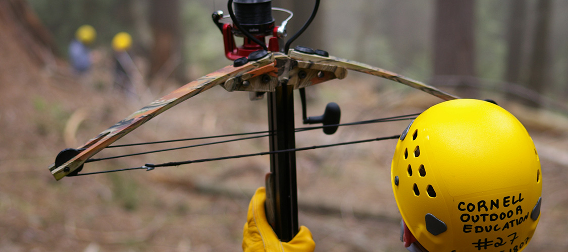 A crossbow used in tree climbing