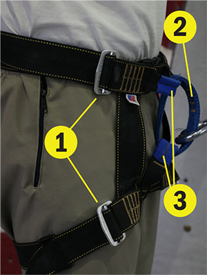 The components of a rental harness include the 1: self-locking buckles, 2: belay loop, and 3: tie-in loops