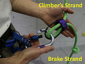 A properly clipped belay device with the brake strand feeding out below the climbing strand
