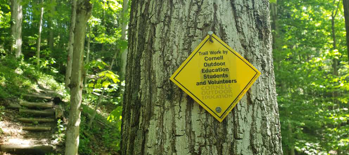 Sign on a tree indicating trail work done with COE's support