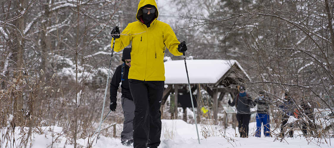 Students cross-country skiing