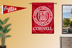 Cornell room background with pennant and banner