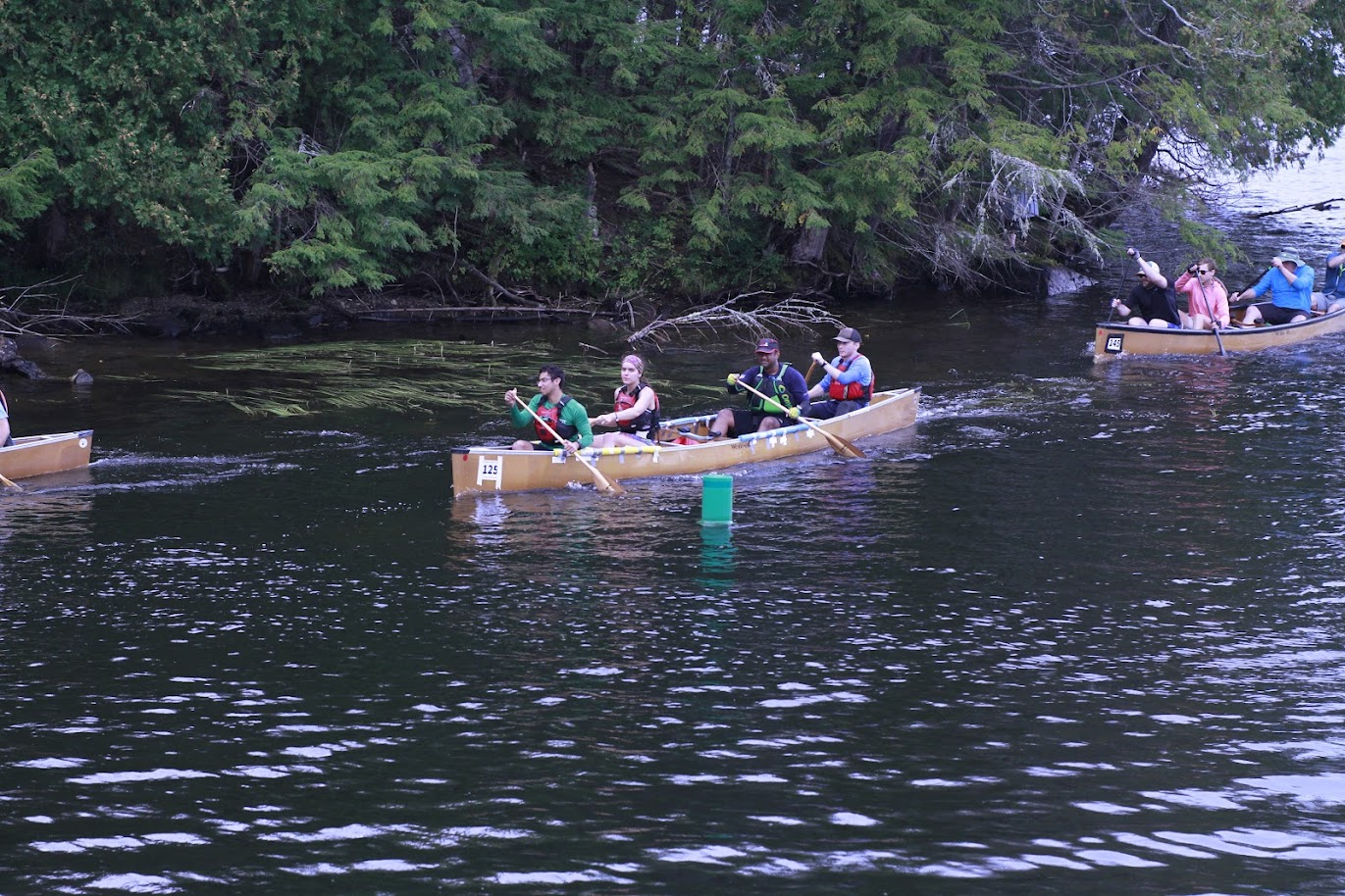 Students paddle two canoes down a waterway, greenery in the background.