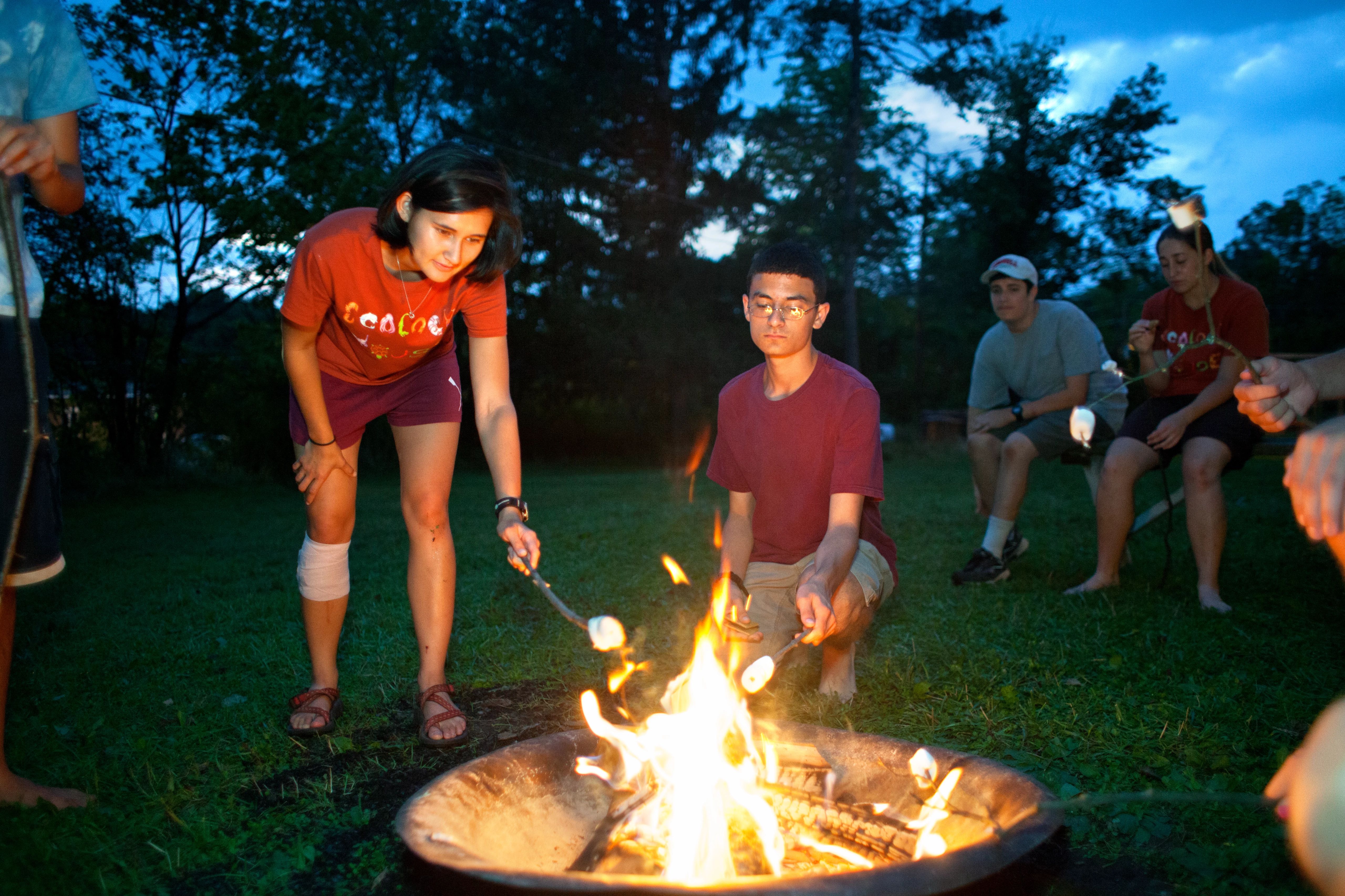 campfire with sticks