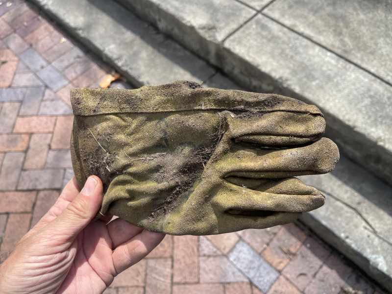 COE glove