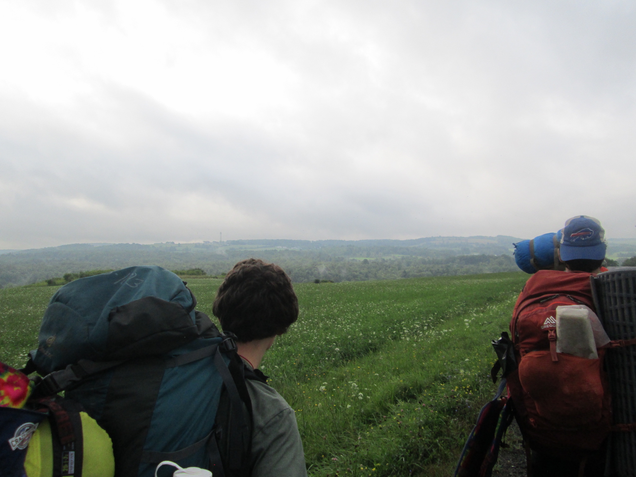 An Odyssey trip hikes along a field with a view of rolling hills in the distance. 