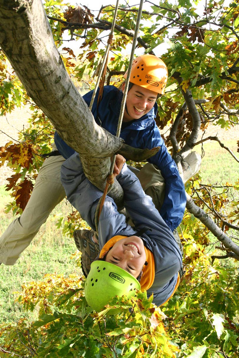 Tree climbing 