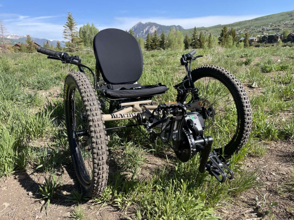 COE Recumbent Stinger