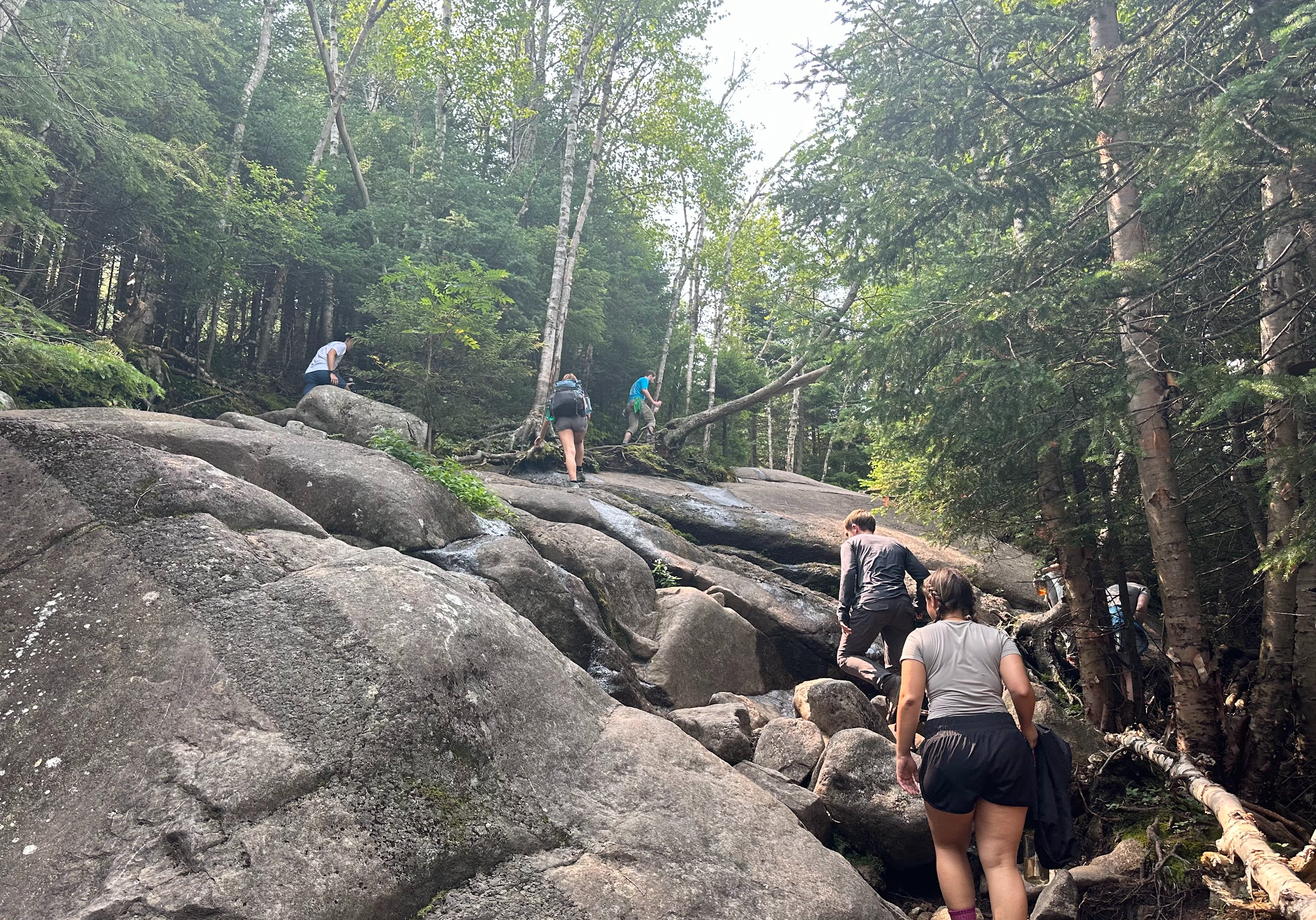 Outdoor Odyssey trip participants go on a day hike.