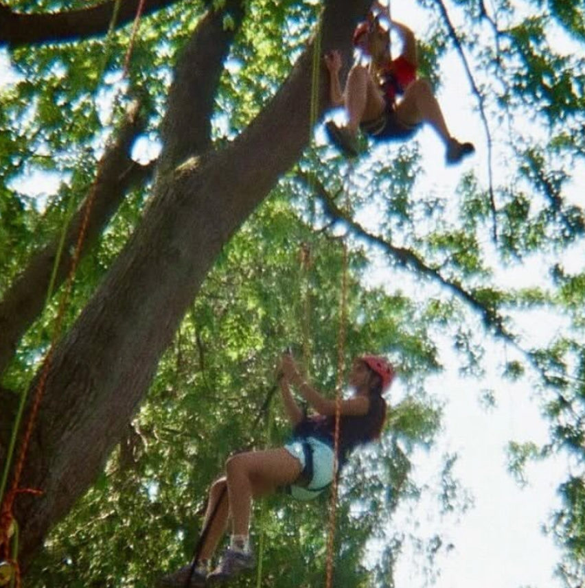 Odyssey participants go tree climbing.