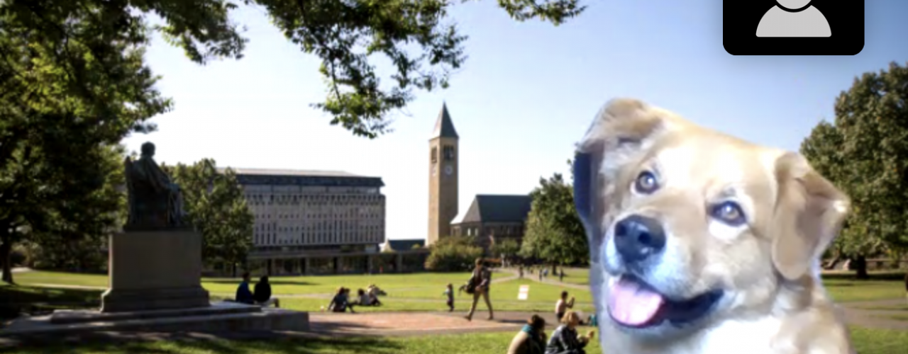 Cedric virtually hanging out on the Arts Quad via Zoom