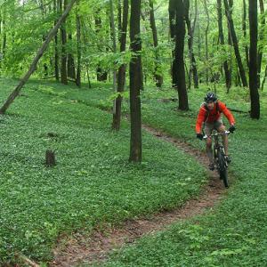 Mountain Biking