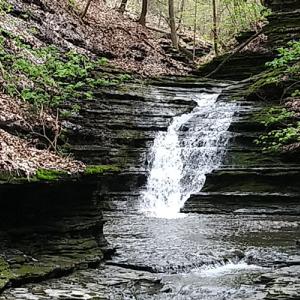 A waterfall at Lick Brook