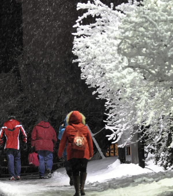 Students walk along a snowy sidewalk with a snow-covered tree nearby