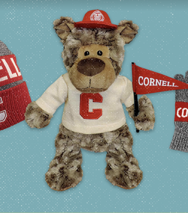 Cornell branded Christmas gifts of a hat, teddy bear, and gloves