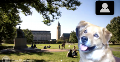 Cedric virtually hanging out on the Arts Quad via Zoom