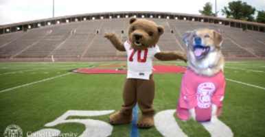 Cedric hanging out virtually with Touchdown Bear