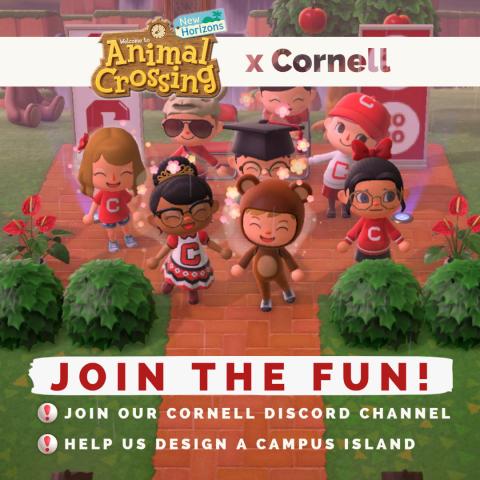 Animal Crossing x Cornell - flyer
