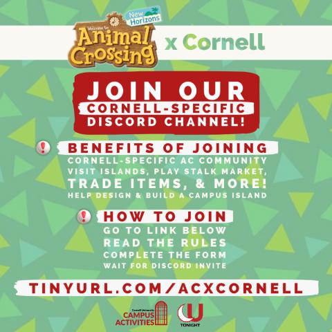 Animal Crossing Student Campus Life Cornell University