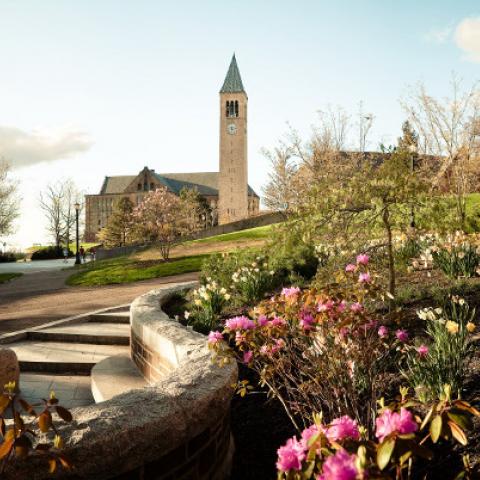 Panoramic campus