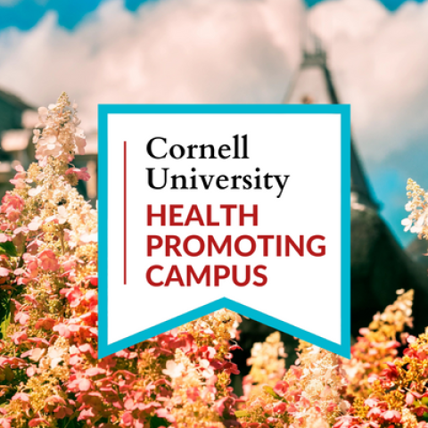 Cornell University Health Promoting Campus