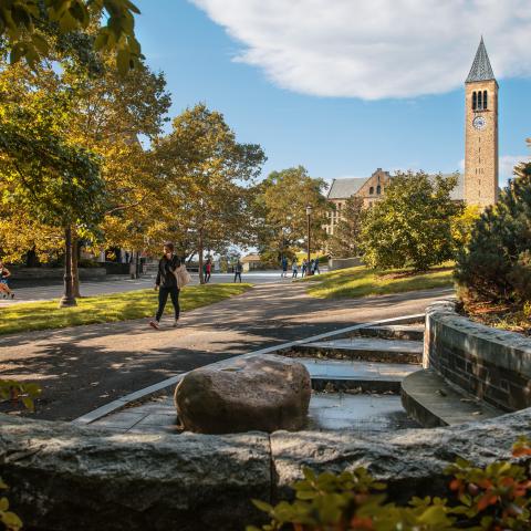 image of the clocktower