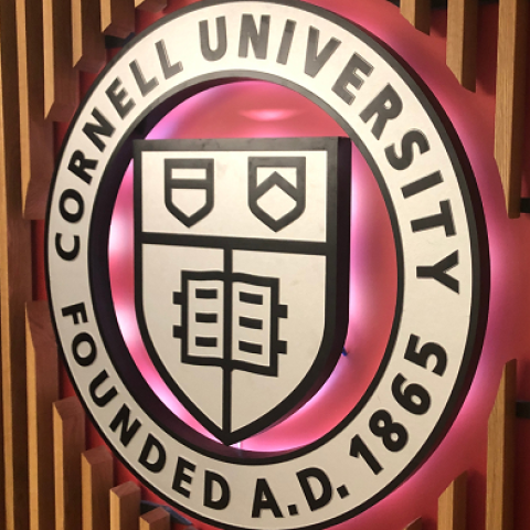 office of the dean of students