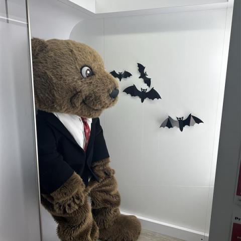 Cornell's mascot Touchdown dressed up in a suit and taking a photo within the Profile Picture Kiosk