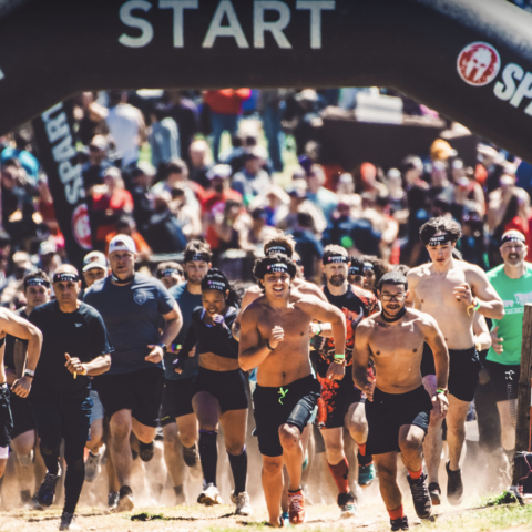 Runners at the beginning of a race