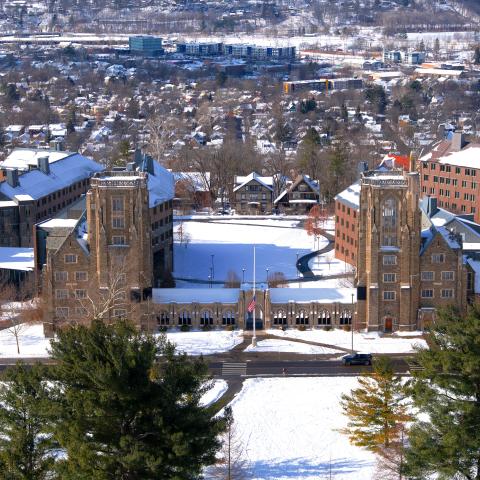Photo of West Campus taken from the top of McGraw Tower
