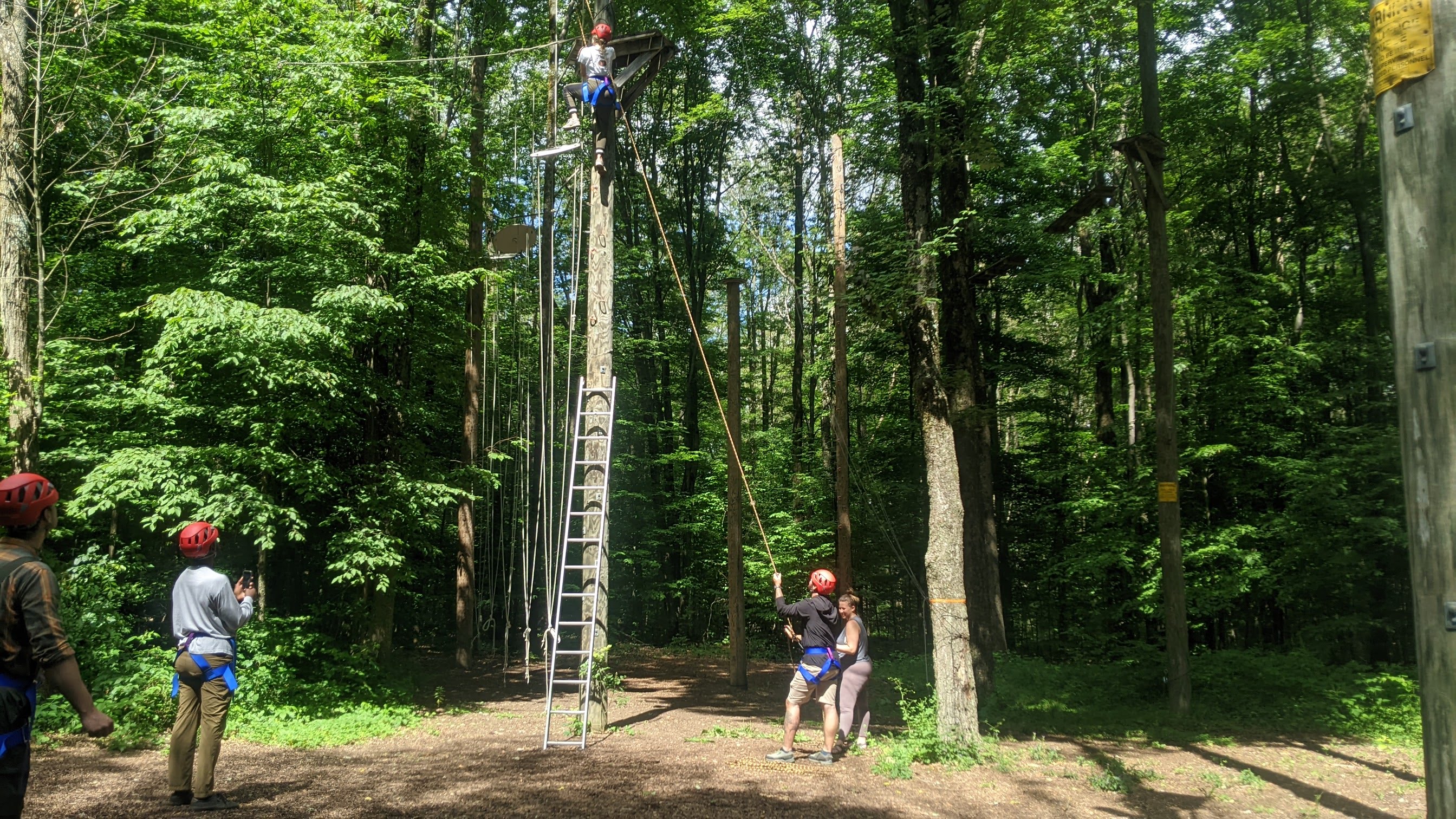 Student climbing up the multi-vine (high ropes course) element