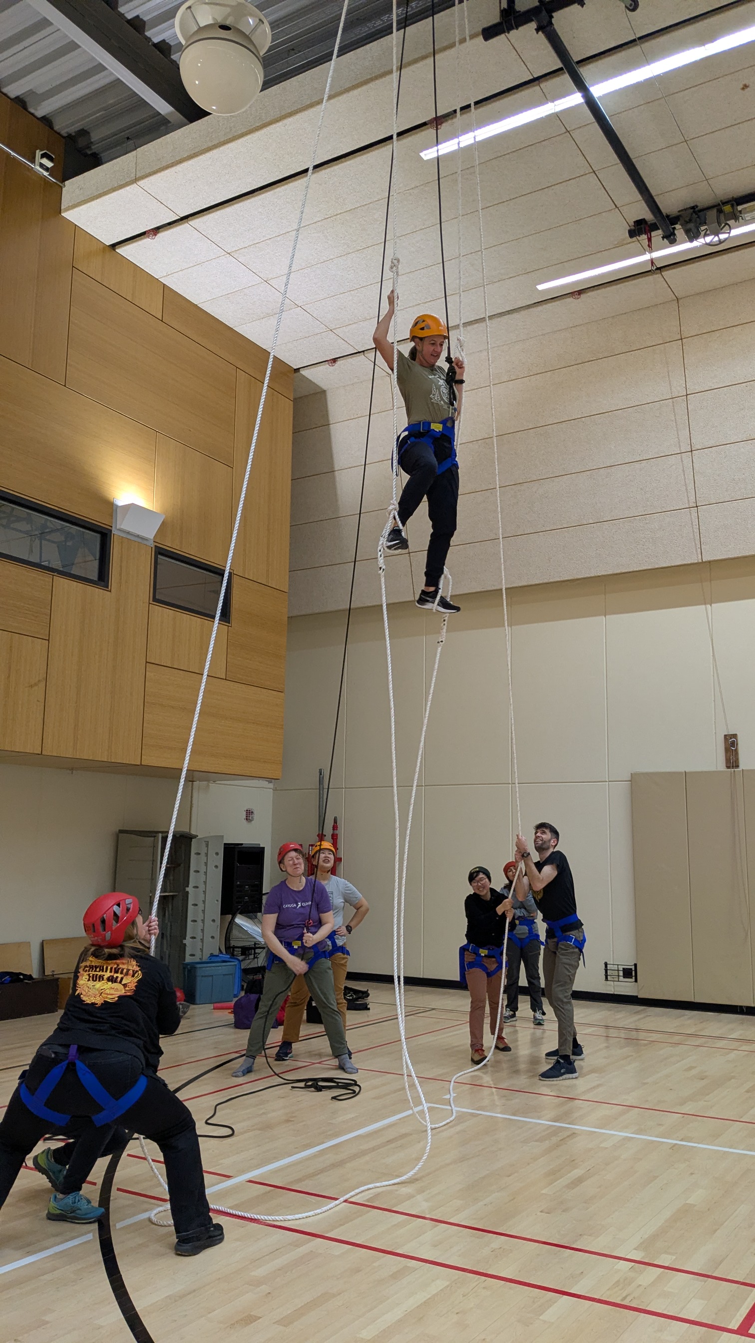 people in gym climbing up a rope with support staff on the ground
