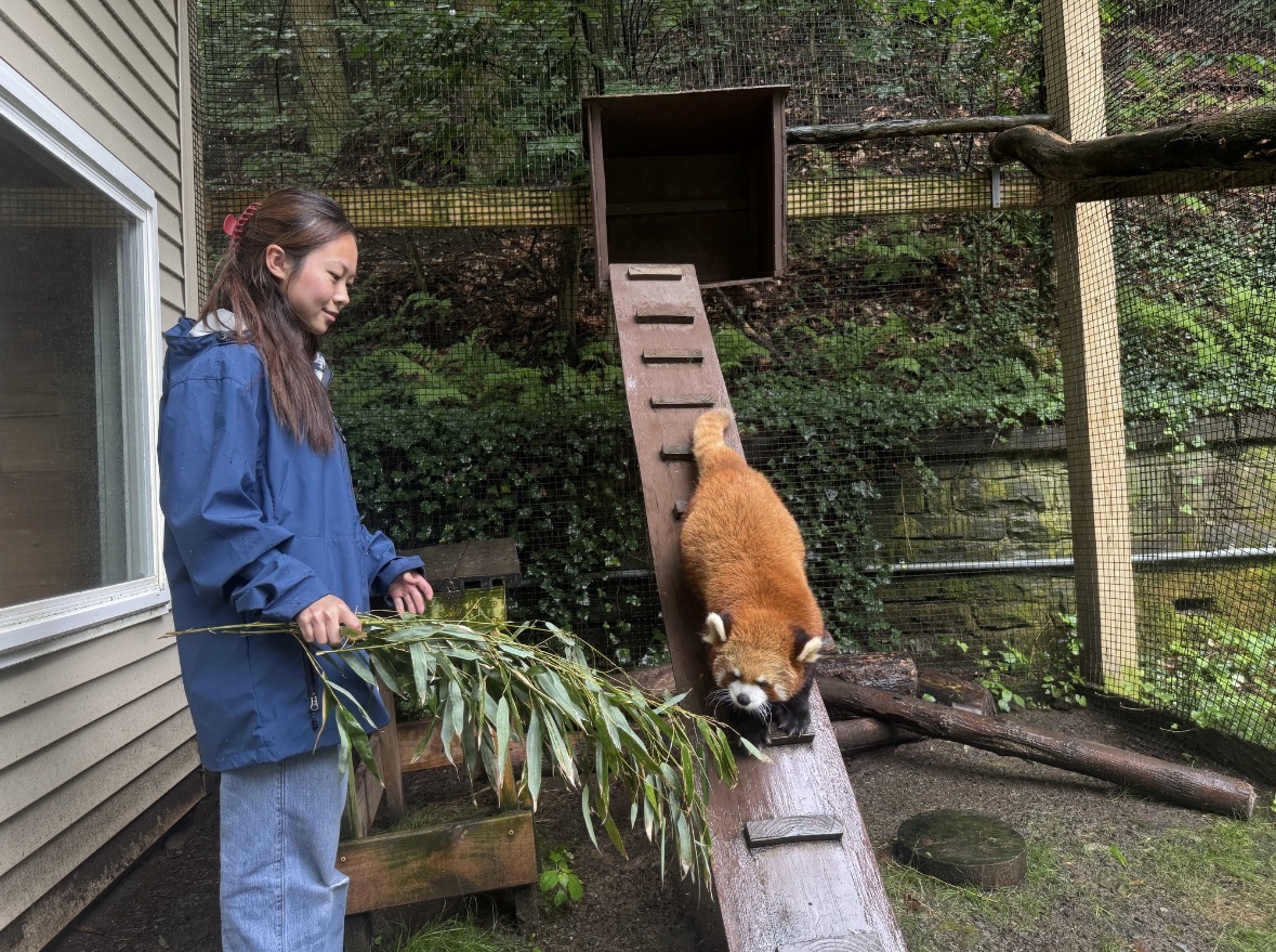 Rachel Hu at Ross Park Zoo