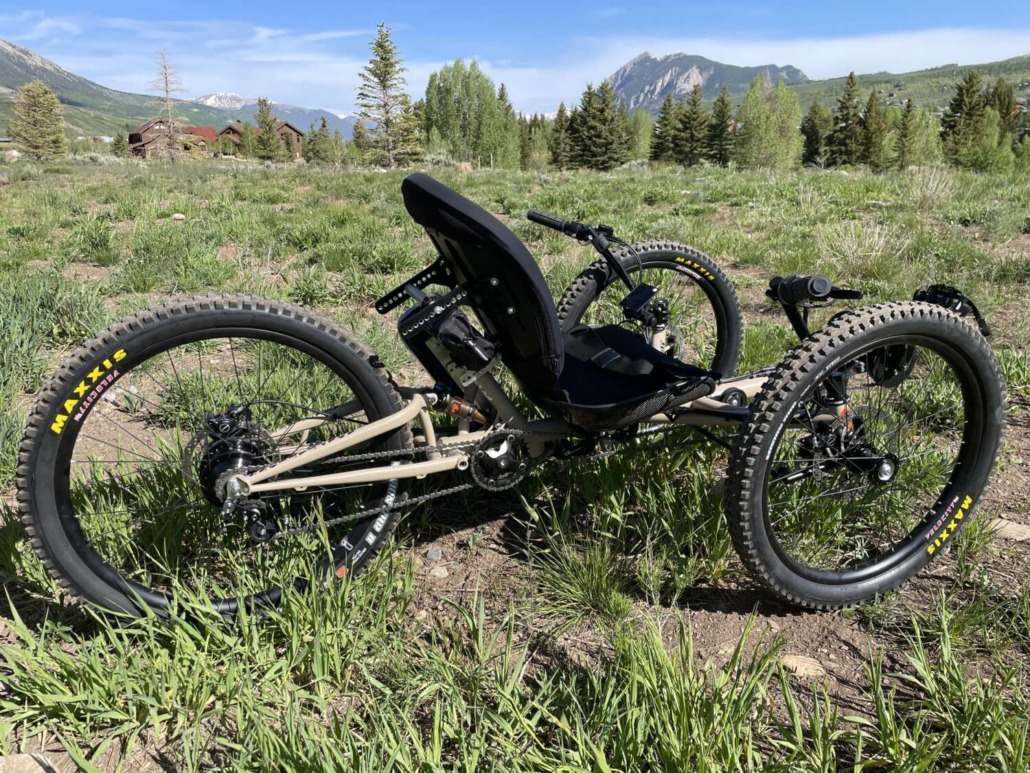 COE Recumbent Stinger