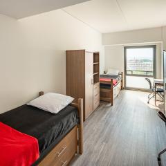 Double occupancy room with two beds, desks, and dressers