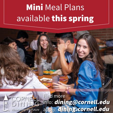 Mini Meal Plans available this spring