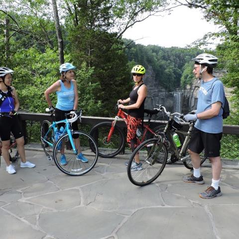 image of people biking in the Finger Lakes