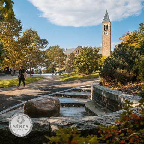 Student walking on Ho Plaza with McGraw Tower in background
