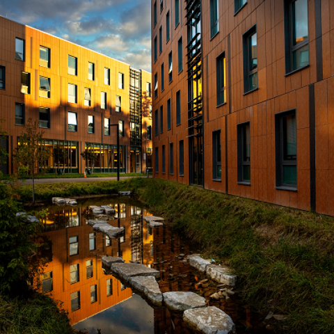 NCRE buildings at dawn
