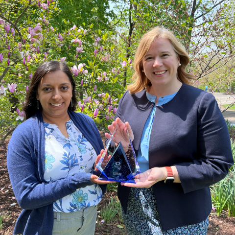 Career Services accepts the NACE Award