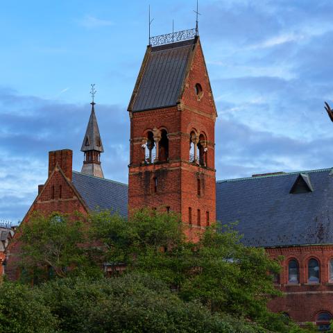 Photo of Barnes Hall at sunset