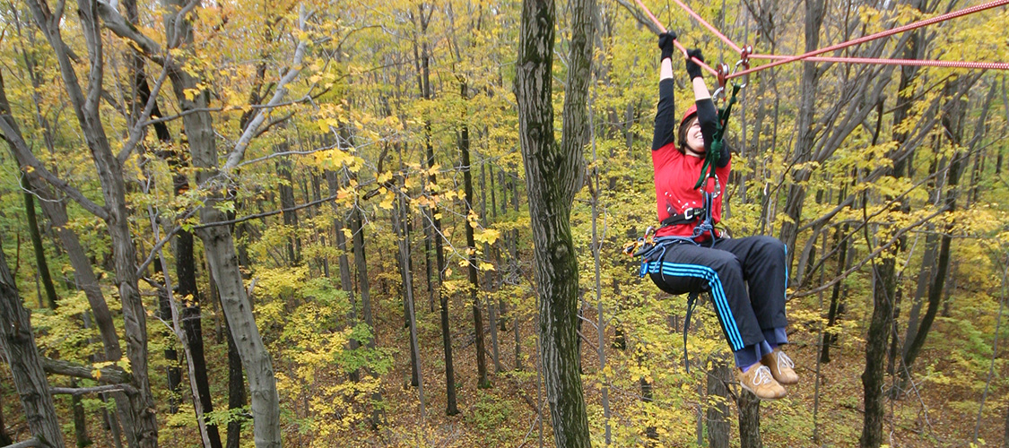 Tree climber in the Finger Lakes