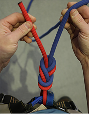 Figure 8 Retrace Step 5